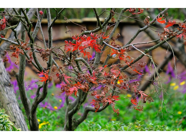 富士XF16-55mmF2.8 R LM  WR怎么样_http://www.meifudie.com_好物_第12张