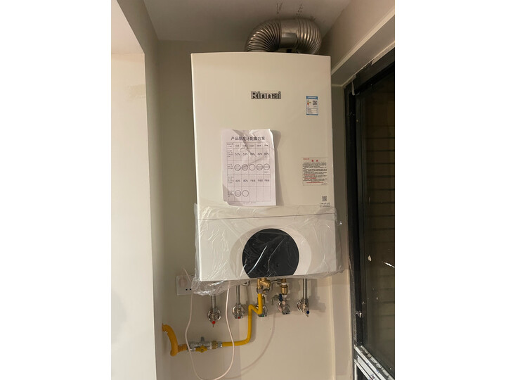 深度解密：林内（Rinnai）零冷水燃气壁挂炉 全屋零冷水 采暖热水两用 APP智控 暖逸系列(L)24KW RBS-24C66L(90-150㎡) 心得分享 第5张