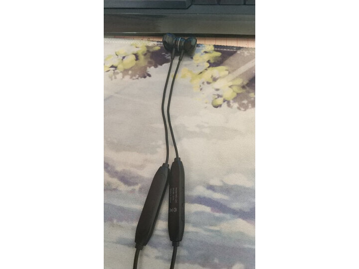 感受兰士顿l5c和l5b有什么区别？爆料区别哪个好
