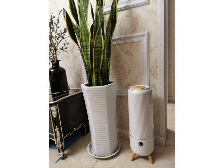 小熊JSQ-C60B1怎么样-小熊JSQ-C60B1真实用户评价分享_http://www.meifudie.com_好物_第9张