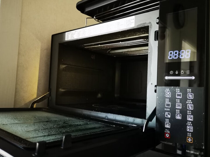 点评松下NN-DS1000怎么样呢？深入解析好用吗？