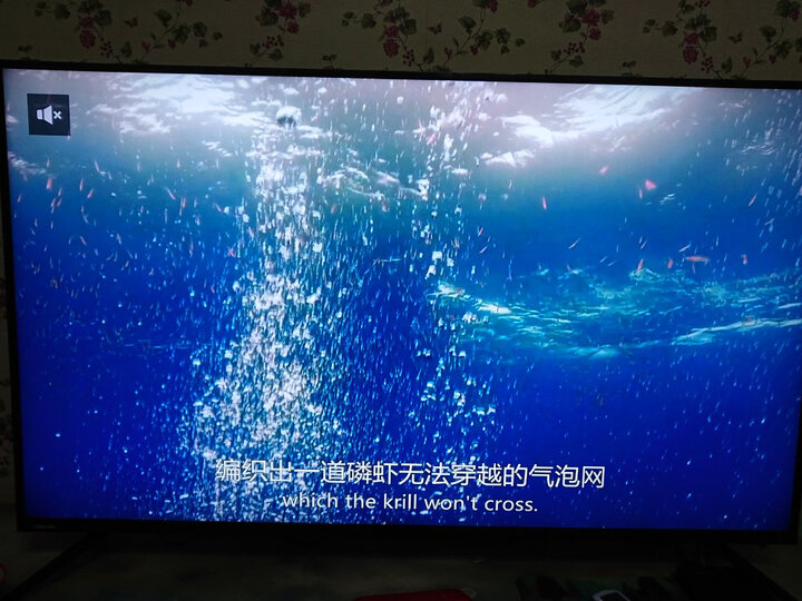 东芝（TOSHIBA）55U6780C超薄4K电视机怎么样？质量对比参考评测，详情曝光 首页推荐 第10张