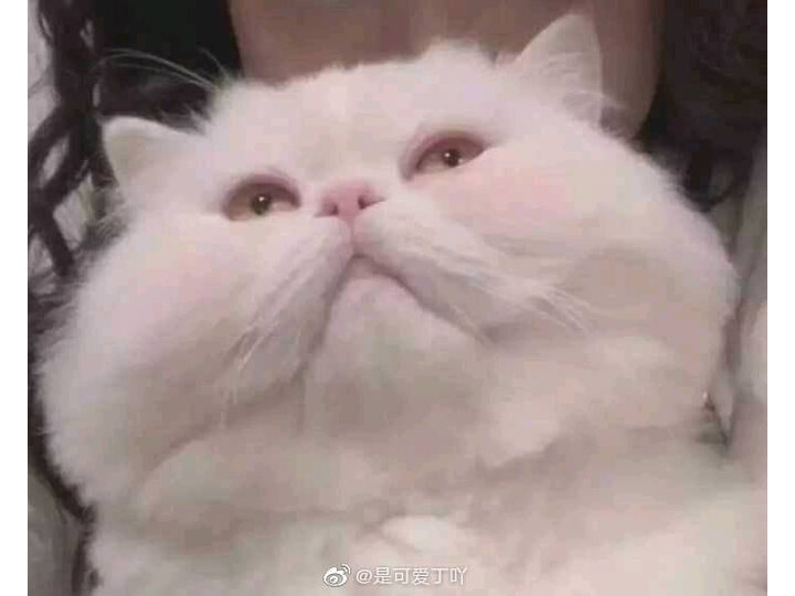 小米e55c和e55a哪个好一些-小米e55c和e55a深度对比_http://www.itswebtime.com_好物推荐_第10张