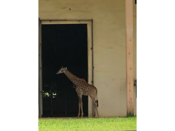 水星d191g和d196g有什么区别-水星d191g和d196g功能差异对比_http://www.tuijianxing.com_好物_第6张