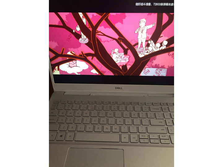 戴尔Is15-7591怎么样-戴尔Is15-7591真实用户评价分享_http://www.meifudie.com_好物_第13张