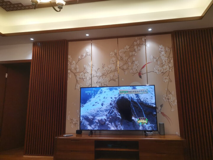解析创维65e33a和65V20哪款好哪个好？盘点区别有吗？
