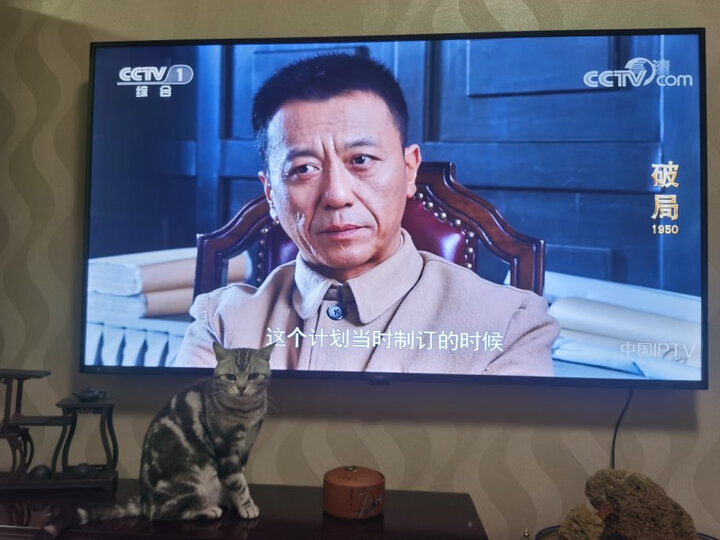 分享小米壁画电视和索尼65x8500g区别是什么？点评哪个好？