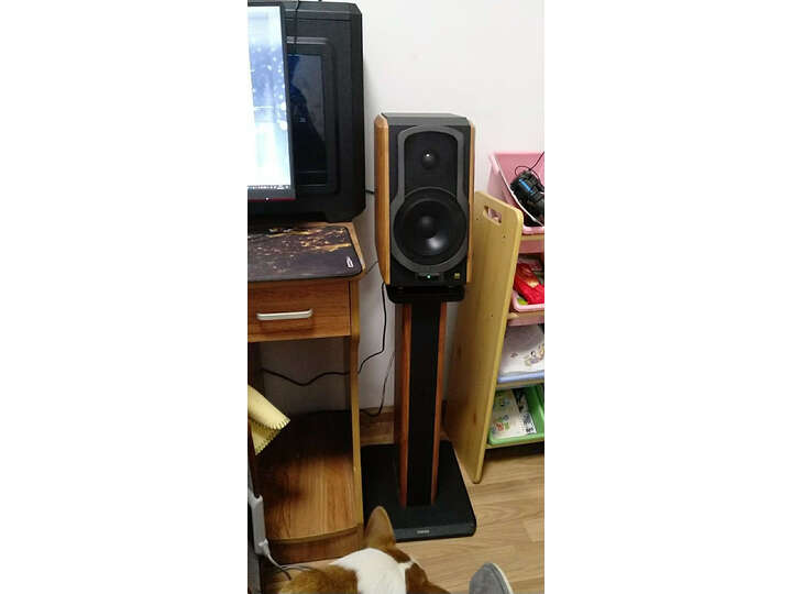 请问漫步者s1000mkii和s2000mkii区别哪个好？比较有何区别？