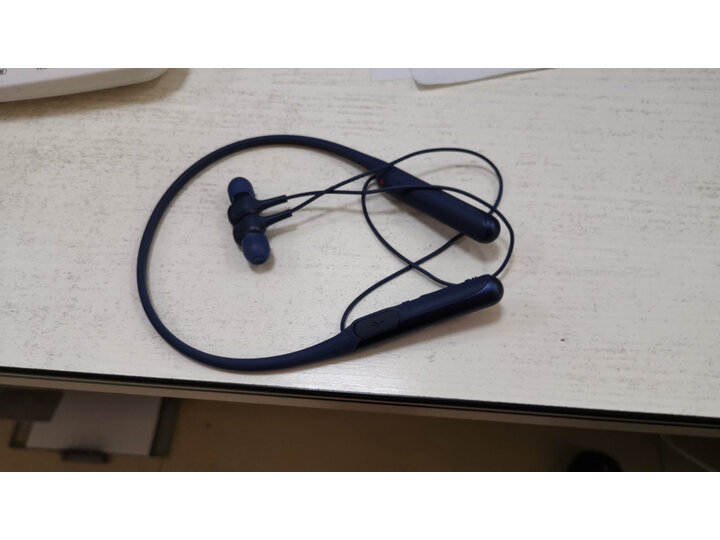 深入解析索尼wi-c600n与wih700哪个好？评价有没有区别？详细剖析