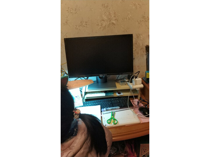 戴尔SE2416H怎么样-戴尔SE2416H真实用户使用评价_好物_第6张_推荐星 戴尔SE2416H怎么样-戴尔SE2416H真实用户使用评价_http://www.tuijianxing.com_好物_第6张