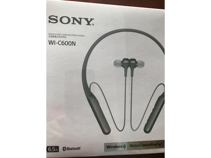 深入解析索尼wi-c600n与wih700哪个好？评价有没有区别？详细剖析