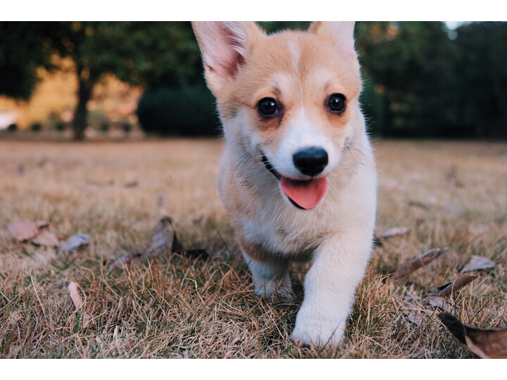 富士t30和佳能m6mark2哪款好一些-富士t30和佳能m6mark2哪款更值得入手一些_好物_第8张_美肤蝶 富士t30和佳能m6mark2哪款好一些-富士t30和佳能m6mark2哪款更值得入手一些_http://www.meifudie.com_好物_第8张