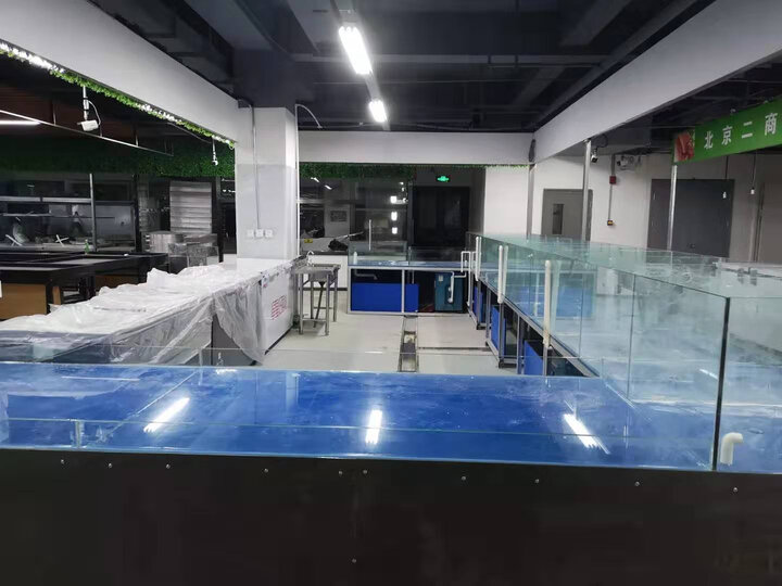 星星SDSC-500BY怎么样-星星SDSC-500BY用户使用体验与功能解析_http://www.tuijianxing.com_好物_第7张