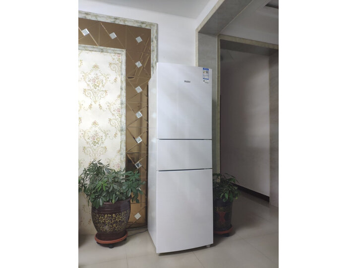说说海尔BCD-213WMPV怎么样呢？入手爆料评测如何？