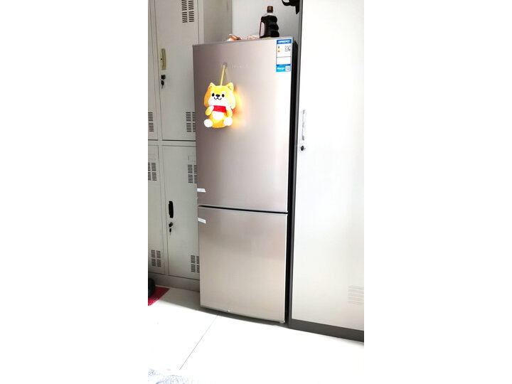 点评海信BCD-170VK1FQ怎么样呢？图文剖析质量好不好？