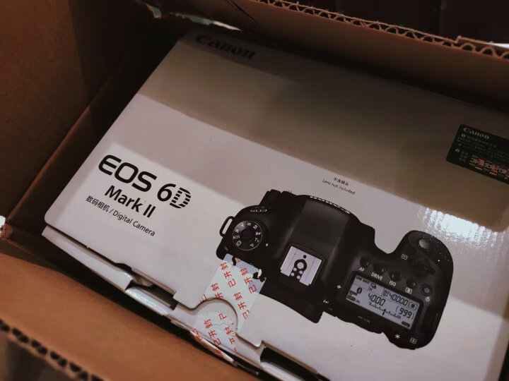 佳能（Canon）EOS 6D Mark II 6D2全画幅单反相机 单机身 （约2620万像素-4K延时短片）_0 心得体验 第8张