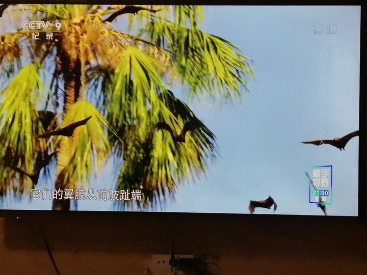 海信h58e3a和海信VIDA58VIA哪个好点_好物_第5张_美肤蝶 海信h58e3a和海信VIDA58VIA哪个好点_http://www.meifudie.com_好物_第5张