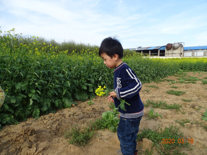 索尼（SONY） DSC-HX400 长焦数码相机怎么样？来说说质量优缺点如何 首页推荐 第3张
