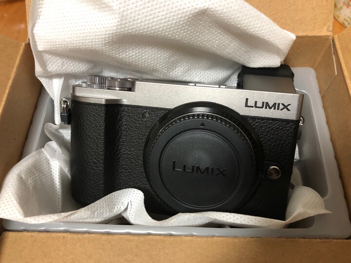 松下（Panasonic）G95微单数码相机怎么样？入手前千万要看这里的评测！ 首页推荐 第10张