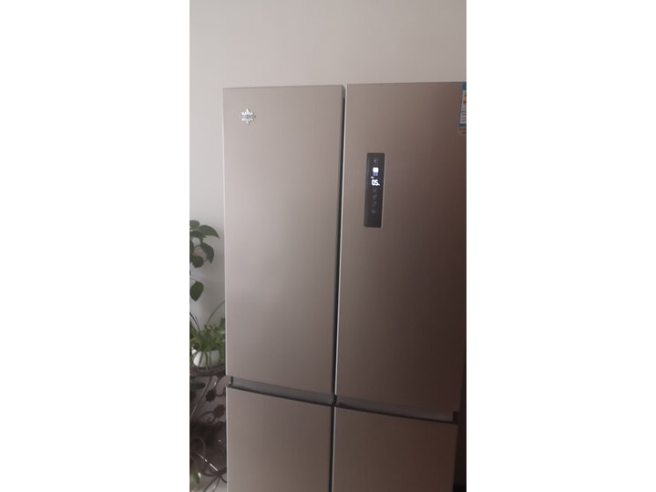 评测格力BCD-436WPQCL怎么样呢？达人评测真的好吗？