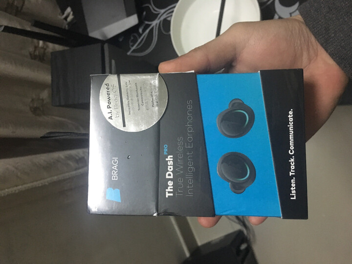 bragithedashpro美版和国行的区别有吗_http://www.itswebtime.com_好物推荐_第10张