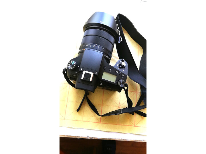 还算凑合:索尼rx10m4和尼康p1000哪款好用?区别是什么