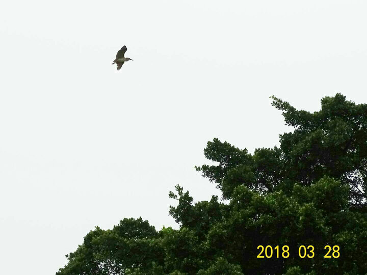 索尼DSC-HX400怎么样-索尼DSC-HX400真实用户评价分享_好物_第14张_美肤蝶 索尼DSC-HX400怎么样-索尼DSC-HX400真实用户评价分享_http://www.meifudie.com_好物_第14张