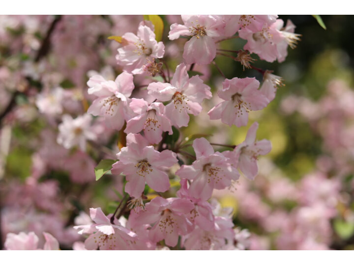 佳能EOS 800D怎么样-佳能EOS 800D真实用户使用评价_好物_第15张_美肤蝶 佳能EOS 800D怎么样-佳能EOS 800D真实用户使用评价_http://www.meifudie.com_好物_第15张