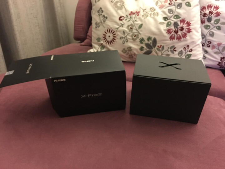 富士xpro2和x100f哪款更好-富士xpro2和x100f全面比较与分析_http://www.itswebtime.com_好物推荐_第12张