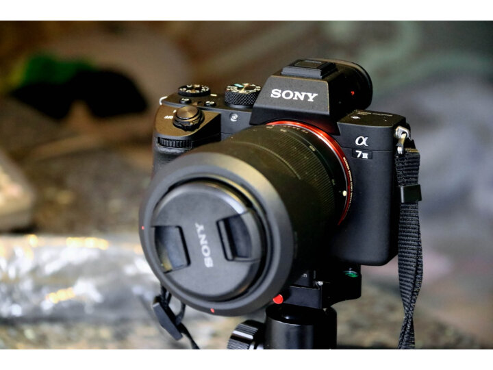 索尼（SONY）Alpha 7 III(7M3K)全画幅微单数码相机怎么样？为什么爆款，评价那么高？ 首页推荐 第12张