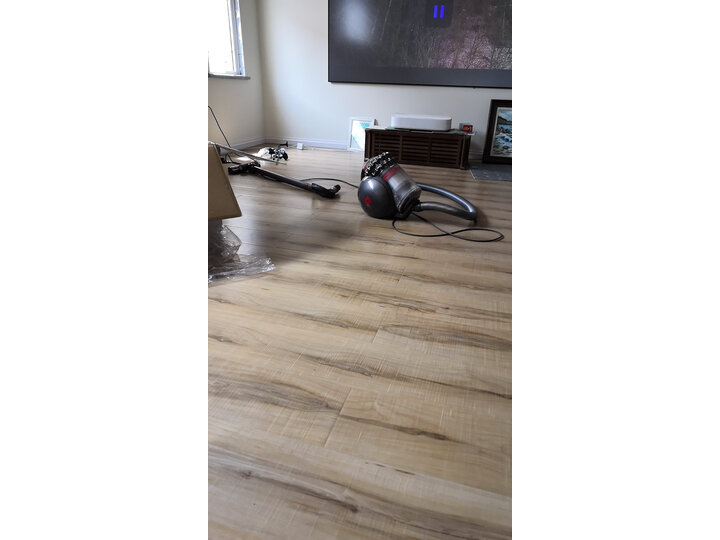 戴森cy22和dc36的哪个好用些-戴森cy22和dc36的深度对比_http://www.itswebtime.com_好物推荐_第10张