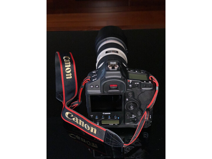 优缺点曝光佳能eos1dxmarkii与5dmark4比较哪个好？剖析功能有什