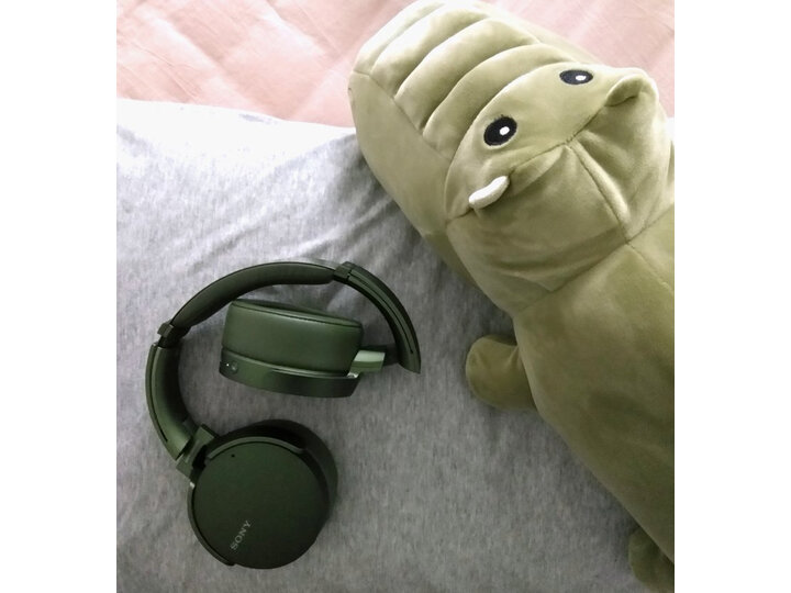 详解索尼xb950n1和h900n哪个好？评价区别是？