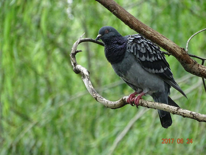 索尼DSC-HX400怎么样-索尼DSC-HX400真实用户评价分享_好物_第9张_美肤蝶 索尼DSC-HX400怎么样-索尼DSC-HX400真实用户评价分享_http://www.meifudie.com_好物_第9张