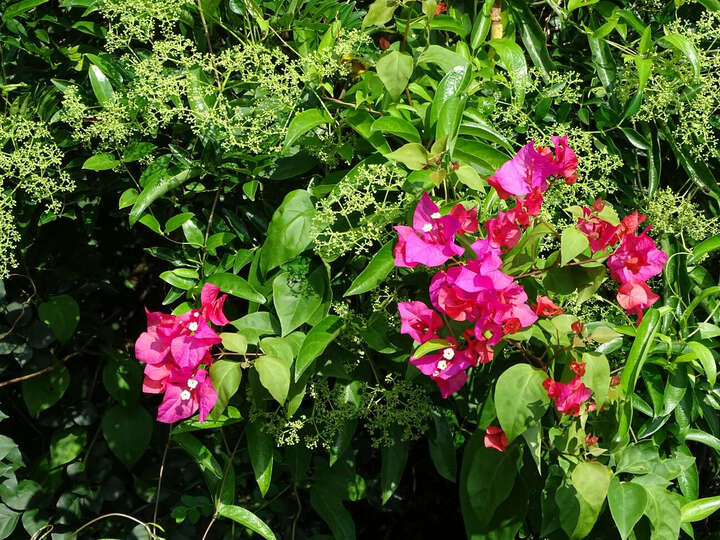 索尼DSC-HX400怎么样-索尼DSC-HX400真实用户评价分享_好物_第10张_美肤蝶 索尼DSC-HX400怎么样-索尼DSC-HX400真实用户评价分享_http://www.meifudie.com_好物_第10张