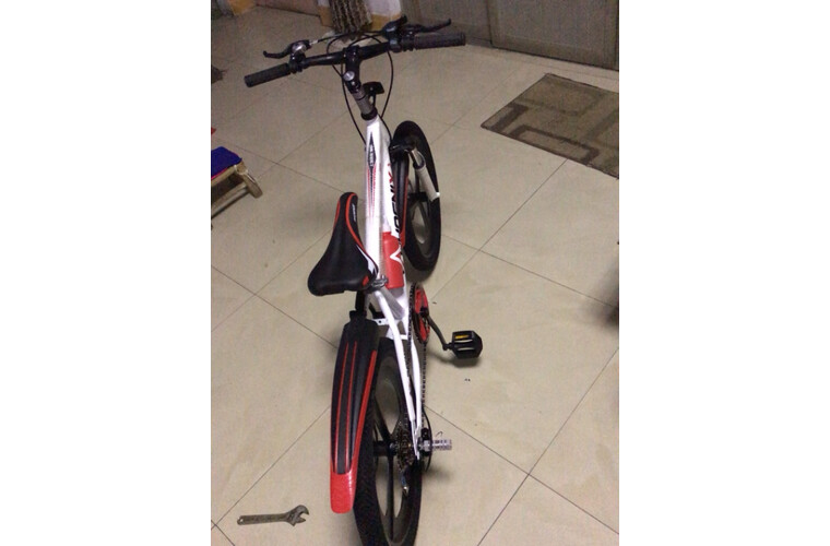 【口碑曝光】真实评测凤凰儿童自行车怎么样，质量好不好？老司机全面揭秘