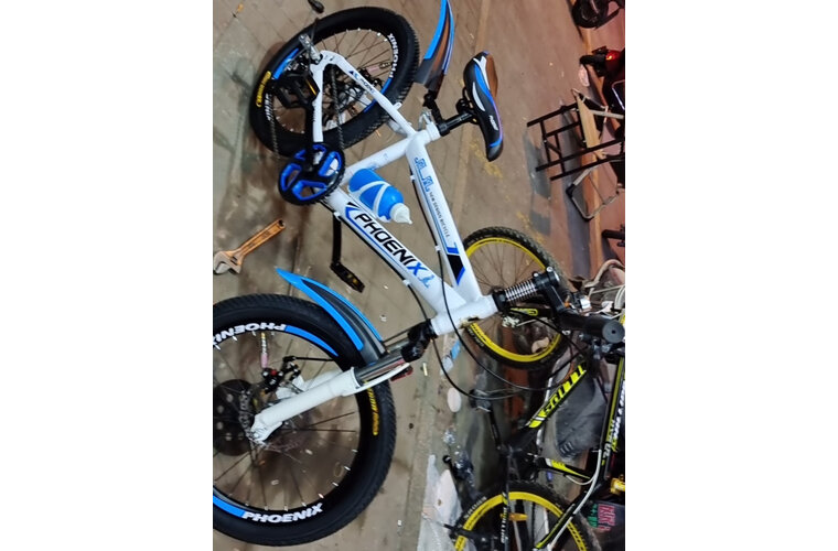 【口碑曝光】真实评测凤凰儿童自行车怎么样，质量好不好？老司机全面揭秘