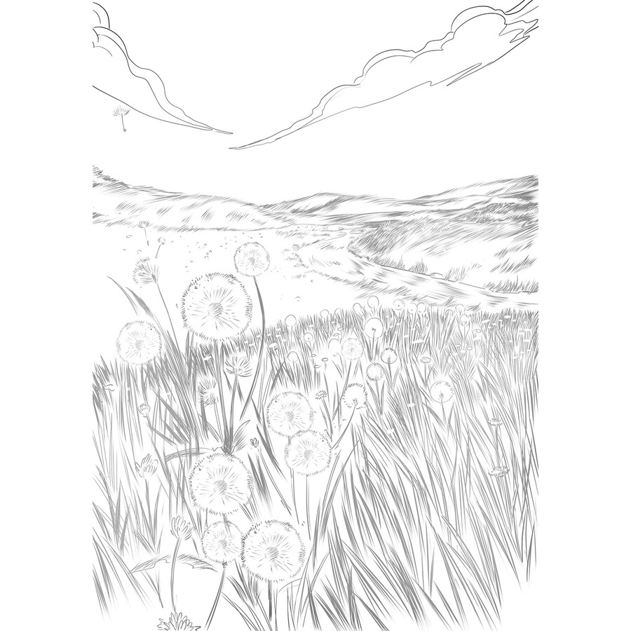 寂静的春天(精装插图典藏本)