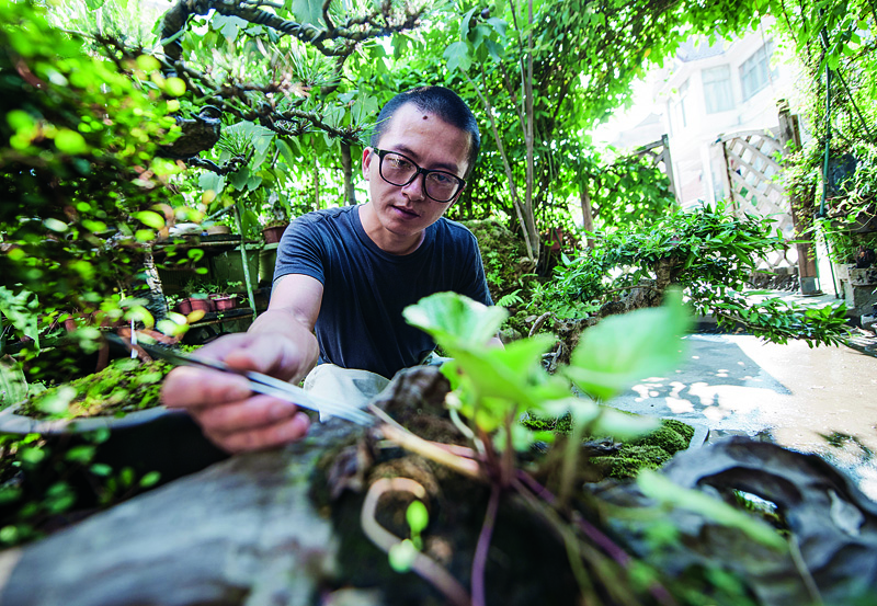 《种满院植物,安守四季阳光》(植觉先生)【摘要 书评 试读】- 京东