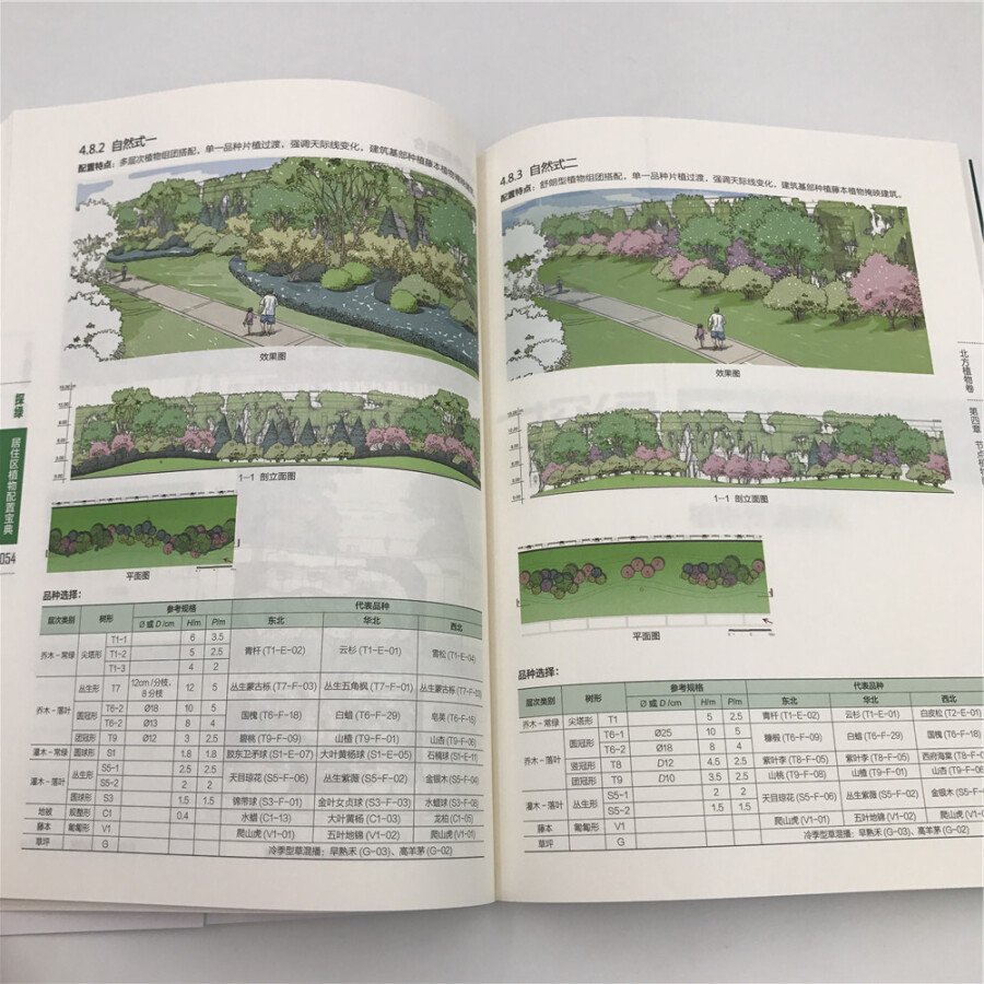 探绿 居住区植物配置宝典(北方植物卷)/万达集团商业地产系列丛书