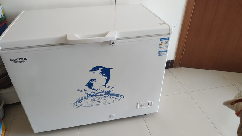 评测！澳柯玛BC/BD-323NE怎么样？不敢相信这竟是真的！