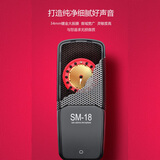 得胜（TAKSTAR）SM-18 大振膜电容麦克风 专业录音手机直播声卡设备套装