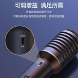 得胜（TAKSTAR）PCM-5600 专业电容麦克风  直播K歌舞台演出录音棚专业录音话筒