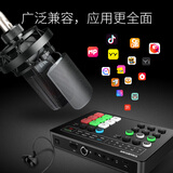 得胜（TAKSTAR）MX1 Set套装 手机直播设备外置声卡套装电脑主播话筒 抖音直播全套