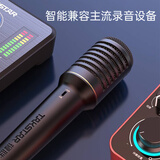 得胜（TAKSTAR）PCM-5600 专业电容麦克风  直播K歌舞台演出录音棚专业录音话筒