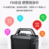 得胜（TAKSTAR）WDA-500 手持版无线户外蓝牙音箱 K歌大音量便携式演出广场舞音响大功率户外扩音器