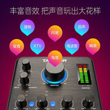 得胜（TAKSTAR） MX630外置声卡套装手机直播设备电脑K歌神器抖音主播唱歌麦克风录音全套 官方标配【单声卡】