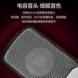 得胜（TAKSTAR）SM-18 EL 专业录音麦克风 网络直播唱K歌录音话筒