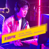 得胜（TAKSTAR） MX630外置声卡套装手机直播设备电脑K歌神器抖音主播唱歌麦克风录音全套 官方标配【单声卡】