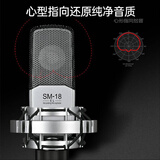 得胜（TAKSTAR）SM-18 EL 专业录音麦克风 网络直播唱K歌录音话筒